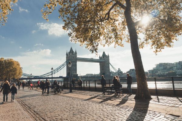 Find Your Perfect London Vacation Rental Steps Away from Historic Walking Tours: An Essential Guide;256Discover Top Holiday Rentals in Northumberland with Exclusive Castle Tour Access: The Ultimate Guide